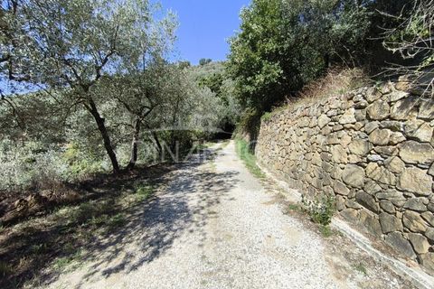 Landejendom i Vinci, Florence, Vinci - € 690.000 | Ref: 1003-265C - foto 33