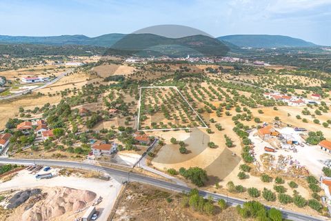 Tomt i Alcanena, Santarem, Alcanena - € 45 000 | Ref: C0269-02050 - foto 3