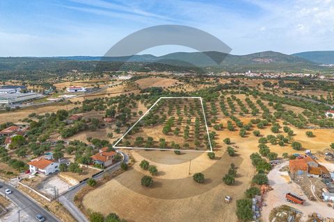 Tomt i Alcanena, Santarem, Alcanena - € 45 000 | Ref: C0269-02050 - foto 4