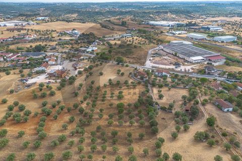 Tomt i Alcanena, Santarem, Alcanena - € 45 000 | Ref: C0269-02050 - foto 5