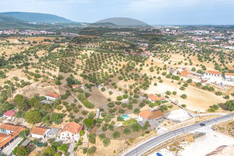 Tomt i Alcanena, Santarem, Alcanena - € 45 000 | Ref: C0269-02050 - foto 6