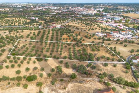 Tomt i Alcanena, Santarem, Alcanena - € 45 000 | Ref: C0269-02050 - foto 7