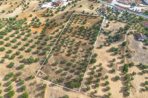 Tomt i Alcanena, Santarem, Alcanena - € 45 000 | Ref: C0269-02050 - foto 9