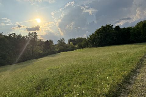Landejendom i Thiene, Vicenza, Thiene - € 675.000 | Ref: HL0012a - foto 2