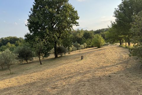 Landejendom i Thiene, Vicenza, Thiene - € 675.000 | Ref: HL0012a - foto 3
