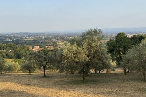 Landejendom i Thiene, Vicenza, Thiene - € 675.000 | Ref: HL0012a - foto 23