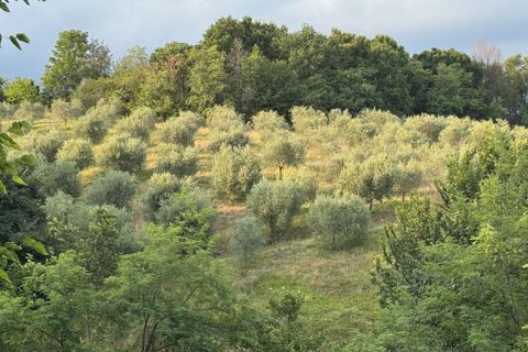 Landejendom i Thiene, Vicenza, Thiene - € 675.000 | Ref: HL0012a - foto 24