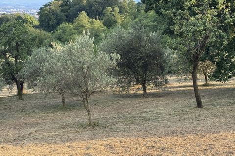 Landejendom i Thiene, Vicenza, Thiene - € 675.000 | Ref: HL0012a - foto 25