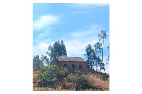 Terra a Macao, Santarem, Macao - € 350/mes | Ref: SÒL_357 - foto 2