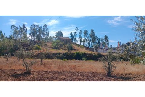 Terra a Macao, Santarem, Macao - € 350/mes | Ref: SÒL_357 - foto 3