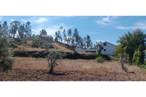 Terra a Macao, Santarem, Macao - € 350/mes | Ref: SÒL_357 - foto 4