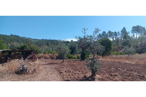 Terra a Macao, Santarem, Macao - € 350/mes | Ref: SÒL_357 - foto 5