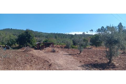 Terra a Macao, Santarem, Macao - € 350/mes | Ref: SÒL_357 - foto 6
