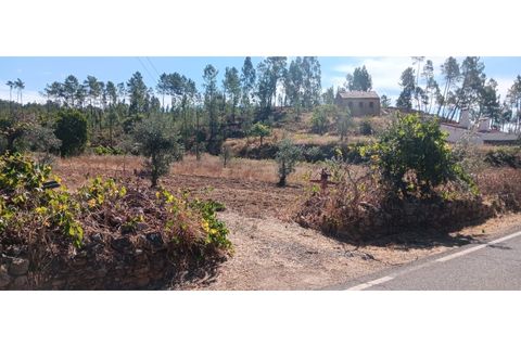 Terra a Macao, Santarem, Macao - € 350/mes | Ref: SÒL_357 - foto 7
