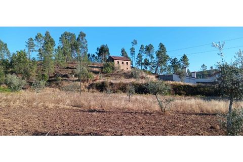 Terra a Macao, Santarem, Macao - € 350/mes | Ref: SÒL_357 - foto 8