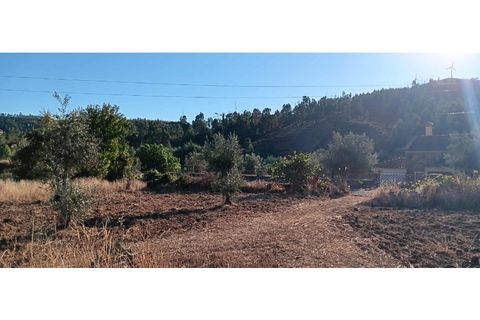 Terra a Macao, Santarem, Macao - € 350/mes | Ref: SÒL_357 - foto 9