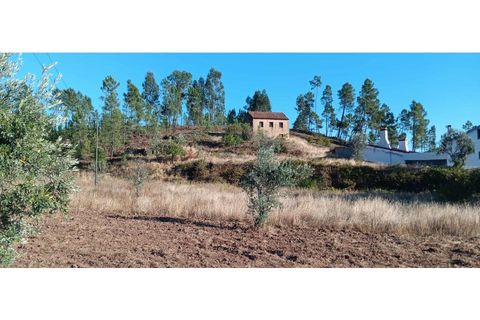 Terra a Macao, Santarem, Macao - € 350/mes | Ref: SÒL_357 - foto 11