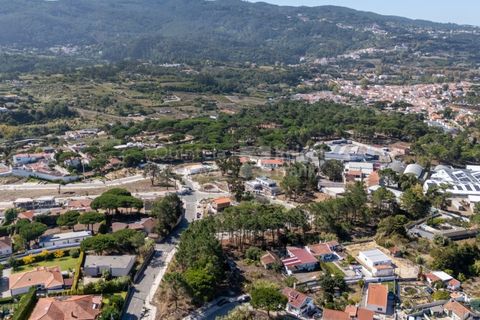 Helårsgrund i Sintra, Lisbon, Sintra - € 298.000 | Ref: PROP-33141 - foto 16