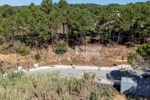 Helårsgrund i Sintra, Lisbon, Sintra - € 298.000 | Ref: PROP-33140 - foto 24