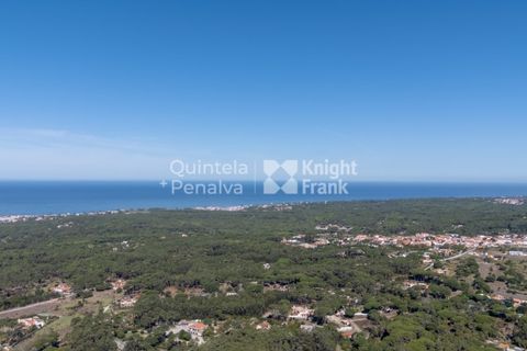 Helårsgrund i Sintra, Lisbon, Sintra - € 298.000 | Ref: PROP-33139 - foto 11