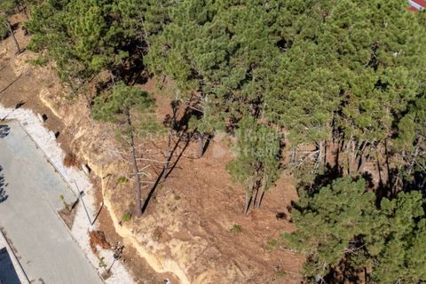 Helårsgrund i Sintra, Lisbon, Sintra - € 298.000 | Ref: PROP-33139 - foto 18