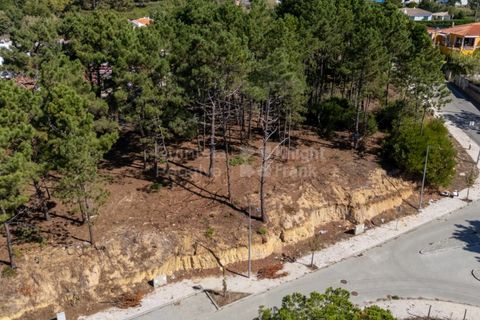 Helårsgrund i Sintra, Lisbon, Sintra - € 298.000 | Ref: PROP-33139 - foto 27