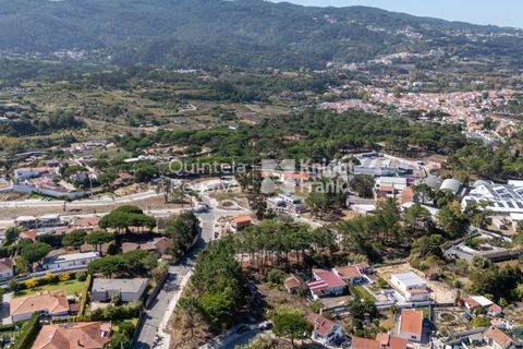 Helårsgrund i Sintra, Lisbon, Sintra - € 298.000 | Ref: PROP-33138 - foto 14