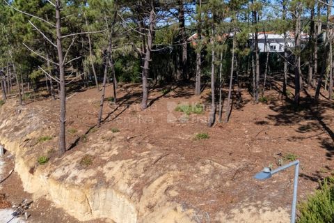 Helårsgrund i Sintra, Lisbon, Sintra - € 298.000 | Ref: PROP-33138 - foto 17