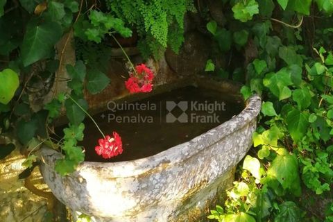 Villa i Sintra, Lisbon, Sintra - € 1.450.000 | Ref: PROP-025516 - foto 32