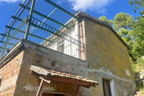 Villa i Terni, Terni, Terni - € 59.000 | Ref: CBI057-316-30389 - foto 18
