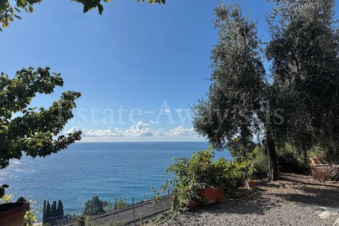 Villa i Bordighera, Imperia, Bordighera - € 2.000.000 | Ref: iv1318 - foto 6
