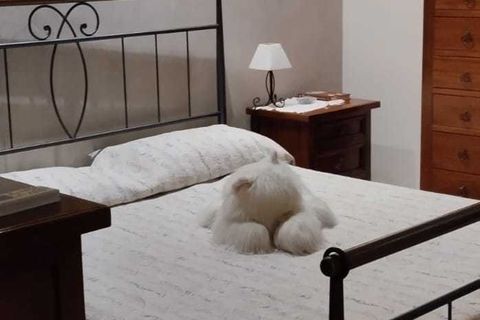 Villa i Siracusa, Siracusa, Siracusa - € 290.000 | Ref: IA3323 - foto 6