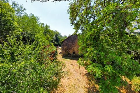 Villa i Cubjac, Dordogne, Cubjac - € 193.500 | Ref: 340939220033 - foto 9