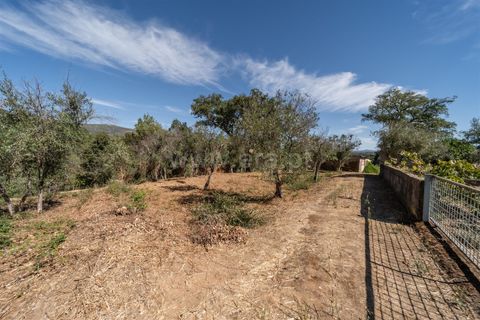 Terra a Covilha, Castelo Branco, Covilha - € 27.500 | Ref: 111250186 - foto 3