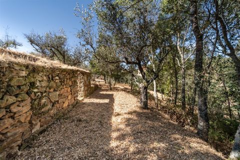 Terra a Covilha, Castelo Branco, Covilha - € 27.500 | Ref: 111250186 - foto 8
