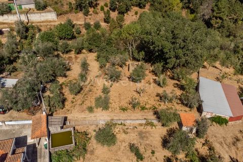 Terra a Covilha, Castelo Branco, Covilha - € 27.500 | Ref: 111250186 - foto 9