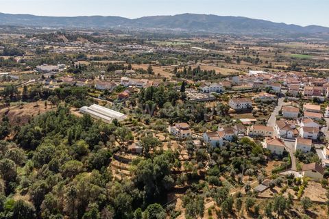 Terra a Covilha, Castelo Branco, Covilha - € 27.500 | Ref: 111250186 - foto 10