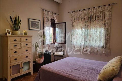 Villa a Casariche, Sevilla, Casariche - € 265.000 | Ref: VL1214 - foto 13