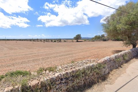 Villa en Campos, Mallorca, Campos - € 495.000 | Ref: HM2549512 - photo 8