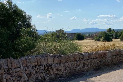 Villa en Campos, Mallorca, Campos - € 495.000 | Ref: HM2549512 - photo 9