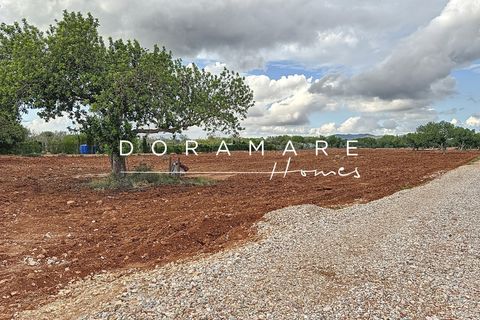 Terra a Campos, Mallorca, Campos - € 349.000 | Ref: HM252451 - foto 9