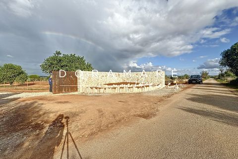 Terra a Campos, Mallorca, Campos - € 349.000 | Ref: HM252451 - foto 15