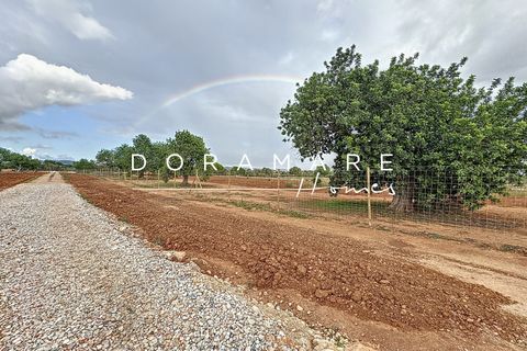 Terra a Campos, Mallorca, Campos - € 349.000 | Ref: HM252451 - foto 19