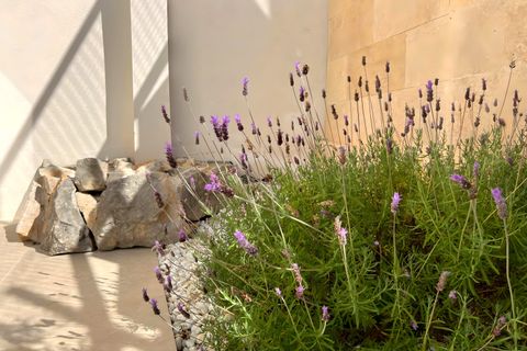 Villa en Son Servera, Mallorca, Son Servera - € 1.949.000 | Ref: HM25105849 - photo 9