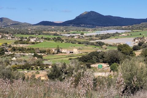 Terra a Manacor, Mallorca, Manacor - € 2.950.000 | Ref: HM25111347 - foto 15
