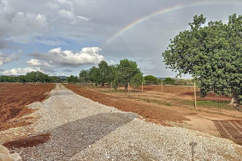 Villa a Campos, Mallorca, Campos - € 1.390.000 | Ref: HM25111283 - foto 7