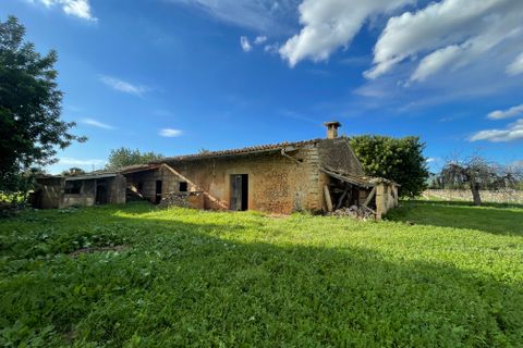 Terra a Inca, Mallorca, Inca - € 1.700.000 | Ref: 82502 - foto 8
