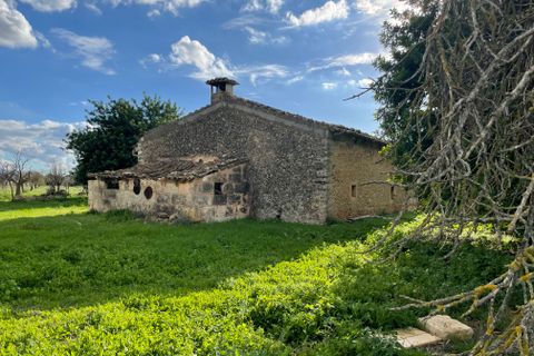 Terra a Inca, Mallorca, Inca - € 1.700.000 | Ref: 82502 - foto 9