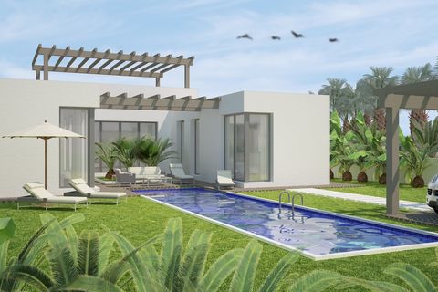 Villa i Benijofar, Alicante, Benijofar - € 531.000 | Ref: C078-D02-V32 - foto 2