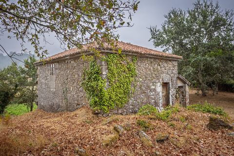 Farm hus i Silleda, Pontevedra, Silleda - € 199.000 | Ref: 2475 - foto 20
